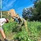 Castle Hill Landcare - Community Working Bee event in Townsville City QLD