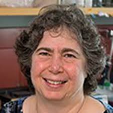 2022 Election Candidates and Ballot