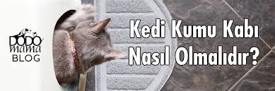Kedi Kumu Kabi Nasil Olmali