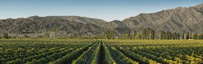 Image result for Mendoza Blue 1970 Iso
