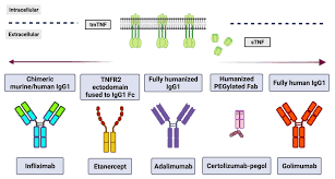 Image result for TNF Inhibitor