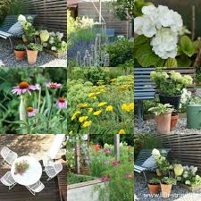 Kohl, zucchini und artischocken wachsen zu riesigen pflanzen heran, die bohnen wollen immer höher hinaus, kürbisse und gurken ranken um die wette. Mein Garten Im Juli