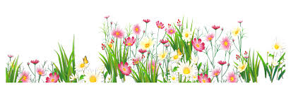 Flowers And Grass Png Picture Clipart Gallery Yopriceville High Quality Images And Transparent Png Fr In 2020 Banner Drawing Flower Art Birthday Background Images