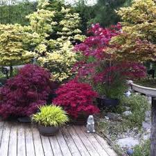 Tall flowering plants for privacy. Tall Plants For A Privacy Fence Hunker Landscaping Around Patio Patio Plants Ornamental Grasses