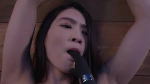 STARS-141 被屈辱的囚禁起來玩弄的美女同事本庄鈴(原有碼劇情片無碼母帶流出) - SOPORN.COM