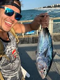 Any squid or blue fish today?