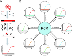 Figure 1 Identification Of 8 Foodborne Pathogens By