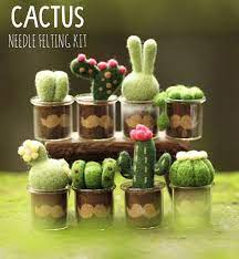Tips on how to draw a succulent or cactus in just a few simple steps so you can become your own artist! Diy Needle Felting Kit 8pcs Set Cactus Garden Craft Felting Etsy Needle Felting Projects Needle Felting Kits Needle Felting