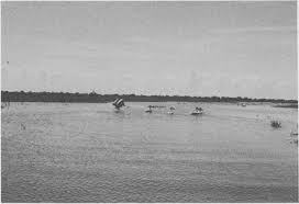 Image result for Rhamphicarpa brevipedicellata