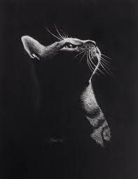 Black And White With Color Drawing Drawing On Black Paper With Color Pencil Give Me Food Pleeease Drawing On Black A3 Paper Drawing On Black Paper Drawing Black Paper Pictures To Draw