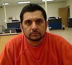 ICE Launches Operation Midway Blitz in Honor of Katie Abraham to Target  Criminal Illegal Aliens Terrorizing Americans in Sanctuary Illinois