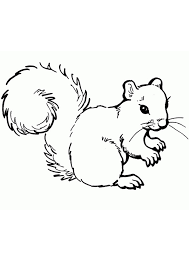 Keep your kids busy doing something fun and creative by printing out free coloring pages. Coloring Pages Squirrel Coloring Page