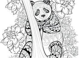 Added this item includes single zip archive with: Realistic Panda Coloring Pictures