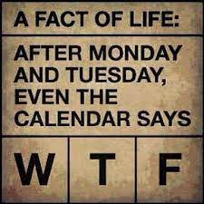 Days Of The Week After Monday And Tuesday Even The Calendar Says Wtf Https Www Facebook Co Funny Quotes For Instagram Funny Instagram Captions Life Facts