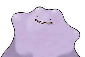 Image result for Zeuxine stammleri