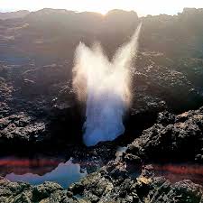 Greg Jepson (@jepo67) • Instagram photos and videos