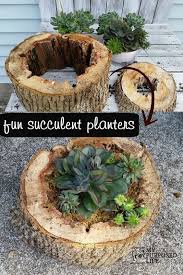 Succulent Planters Rotted Tree Trunk Pieces My Repurposed Life Rescue Re Imagine Repeat Succulent Planter Diy Succulents Diy Succulents