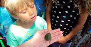 SAM NOBLE MUSEUM ANNUAL REPORT 2013