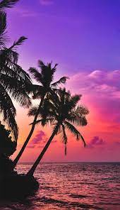 Beautiful Evening Sky Sunset Wallpaper Sky Sunset Beach Wallpaper Sunset Wallpaper Palm Tree Sunset