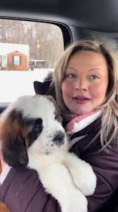 Maxine The St Bernard