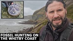 #fossilhunting in #whitby, North Yorkshire for 180 million years old  #fossil #ammonites