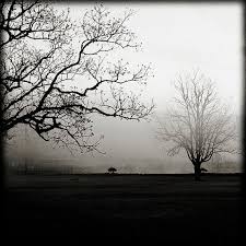 Black And White Landscape Photos For Sale On Sale 20 Off Reach A Foggy Black And White Landscape Decorative Print 24 00 Via Etsy Black And White Landscape Landscape Foggy