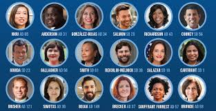 Progressive Coalition Backs Slate Of Incumbents Challengers And Upstarts In June Primaries