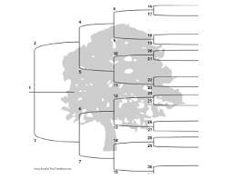 5 Generation Family Trees