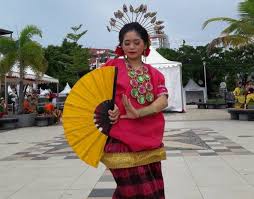 Pada mulanya, budaya tarian ini berasal dari daerah kabupaten pidie diprovinsi aceh, indonesia. Baju Pahang Penari Kipas Gambar