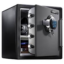 Sentrysafe Sfw123gtc 1 23 Cu Ft Fireproof Safe And Waterproof Safe With Digital Keypad Sfw123gtc The Home Depot In 2020 Waterproof Safe Fireproof Waterproof Safe Best Home Safe