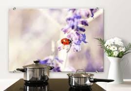 Spritzschutz Aus Glas Fur Kuche Bad Wall Art De Seite 4 Spritzschutz Kuche Sicherheitsglas