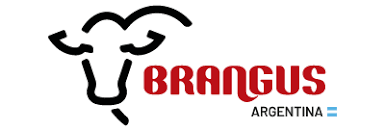 Con quienes crecemos Cada recorrido es distinto, pero compartimos la misma pasión por explorar. Estas alianzas reflejan valores en común: calidad, respeto por la naturaleza y espíritu de aventura. Gracias a ellas podemos crecer, inspirarnos y llegar más lejos, juntos.