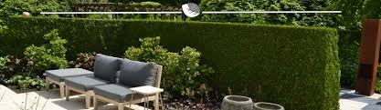 Zudem können sie mit der gartendekoration ihrer wahl auch gekonnt ihren individuellen geschmack ausdrücken und ihren gästen mitteilen. Vom Land Zum Garten Wie Wachst Das Bei Gardline