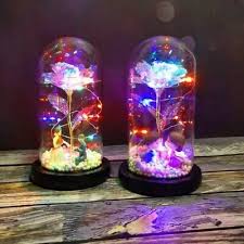 Led Light Up Enchanted Rose Light Silks Artificial Rose In Glass Dome Lamp Decor Fashion Home Garden Homedcor Fl In 2020 Flower Bottle Rose Lights Rose In A Glass