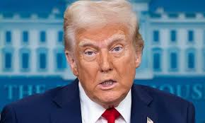 London paramedic denies causing death by dangerous driving when responding  to emergency in ambulance