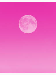 Самые новые твиты от millennial pink aesthetic (@pink_aesthetic): Hot Pink Aesthetic The Moon Art Board Print By Bohodecor Redbubble