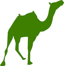 Camels with saddle | camel with a colorful, traditional saddle. Green Silhouette Of A Camel On A White Background Free Image Download