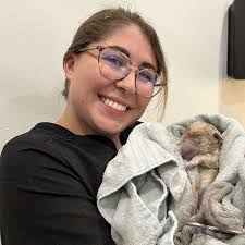 Lisbon Veterinary Service