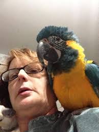 Neil Sass's Instagram, Twitter & Facebook