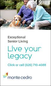 A Wacky and Wonderful Willy Wonka and The Weed Factory