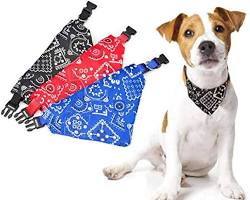 dog wearing a handmade bandanaの画像