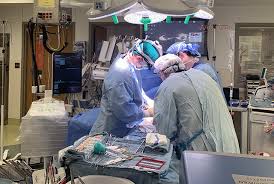 Liver transplant surgery recovery and aftercare. Far Flung Donor Recipient Make For Transplant Milestone Newsroom