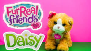 Fur Real Friends Daisy Fur Real Kitty Cat Daisy Youtube Toy Review Fur Real Friends Real Friends Daisy