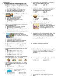Soal Pat Kelas 3 Tema 6 Websiteedukasi Com