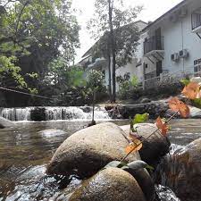 Ini adalah salah sebuah homestay di janda baik dan mungkin anda akan merasa teruja jika anda sampai ke sini. Chalet Mamapapa Janda Baik Pahang Home Facebook