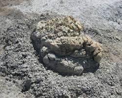 L'ambra grigia è una sostanza dall'odore particolarmente intenso, prodotta dallo stomaco dei capodogli e ingrediente principale, utilizzato in cosmesi, per la produzione dei profumi. Storie Di Mare E Di Terra Dal Museo Delle Balene Di Allerona Alla Mostra Micologica Settimana Del Pianeta Terra
