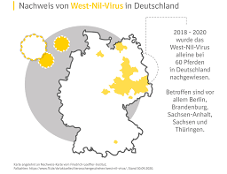 Aufgrund der immer größeren reiselust der deutschen, hat die zahl reisebedingter neurologischer erkrankungen in den letzten jahren zugenommen. West Nil Virus Durch Muckenstich Experten Raten Zur Pferde Impfung