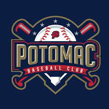 For some teams the cap insignia is much more likely to come to mind when you think of the mark that best represents that team. Baseball Logos The Best Baseball Logo Images 99designs
