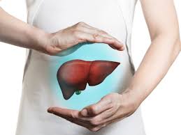 Saúde do fígado: veja 7 doenças e condições que afetam o órgão - 25042023  - UOL VivaBem