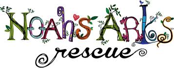 Properties in greenville, just like in other cities in south carolina, also experience pest infestations. Noah S Arks Rescue